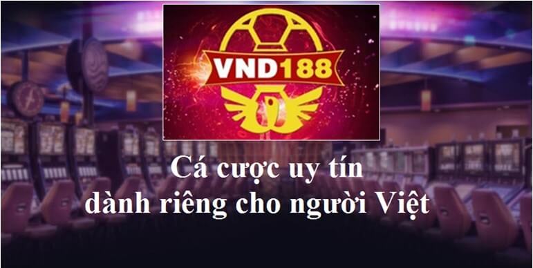 Vnd188